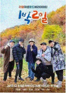少年派2排播节奏解读配图